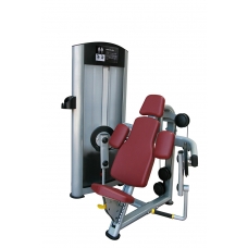 AX8806 Seated Biceps Curl